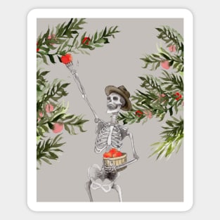 Apple Picker Skeleton Sticker